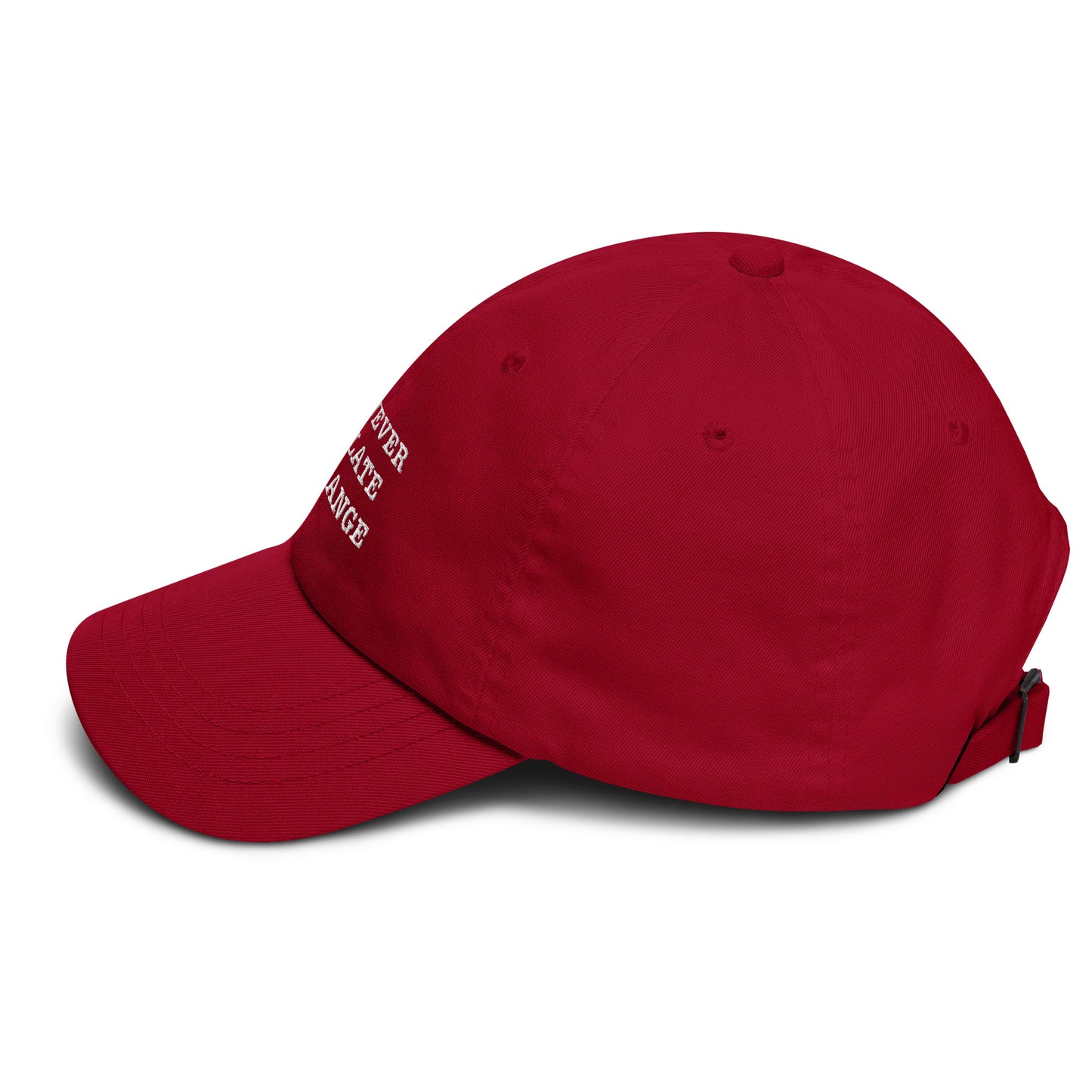 It's Never To Late To Change Embroidered Dad hat