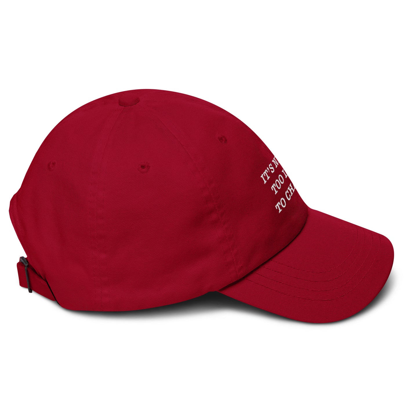 It's Never To Late To Change Embroidered Dad hat